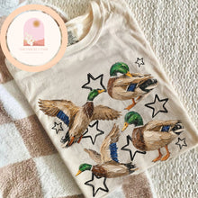 Load image into Gallery viewer, Painted Ducks